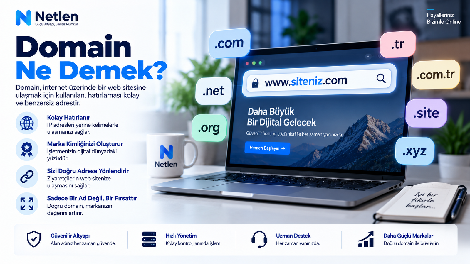 Domain Ne Demek?